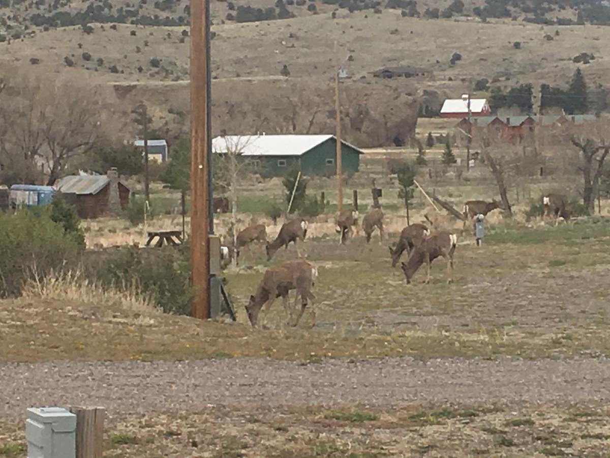 South Fork Lodge & Rv Park Colorado Luaran gambar